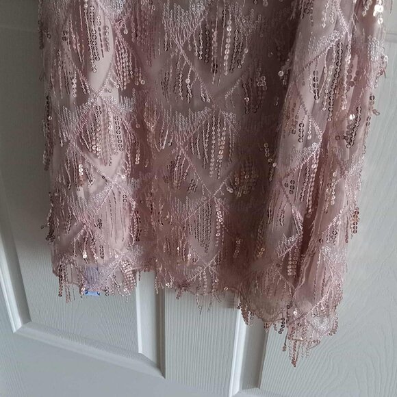 Cider Square Neck Sequins and Tassles Mini Dress - Picture 5 of 8